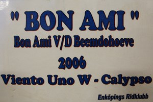 Bon Ami2