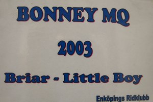 Bonney MQ2