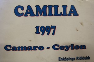 Camilla2
