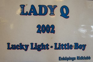 Lady Q 2