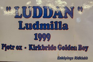 Luddan2