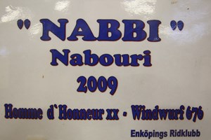 Nabbi2