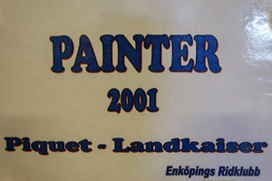 Painter2