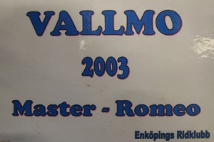 Vallmo2