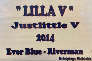 Lilla V