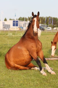 Rune